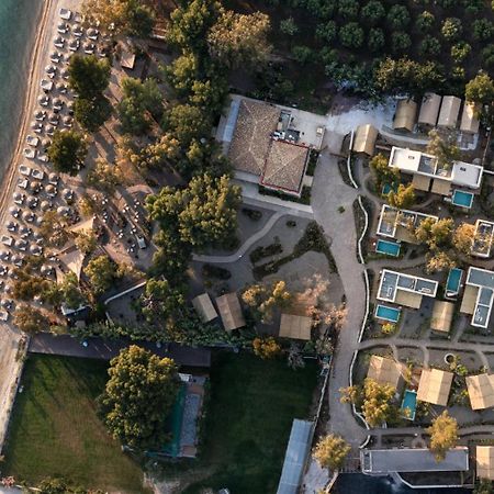 Ergon Beach House Nikiti Екстер'єр фото